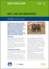 Bats and refurbishment<br><b>PDF Download</b>
