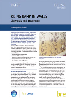 Rising damp in walls - diagnosis and treatment (revised ed.)