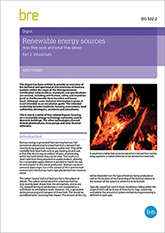 Renewable energy sources: how they work and what they deliver: Part 2: Wood fuels (DG 532/2)